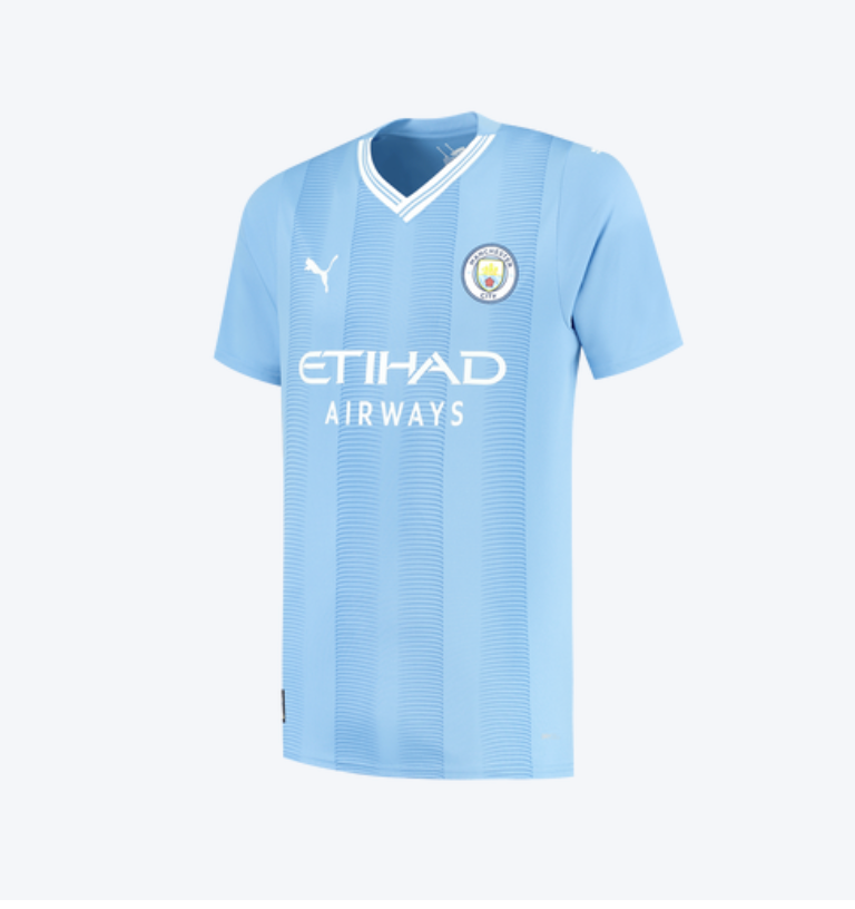 Manchester City 2023 -2024