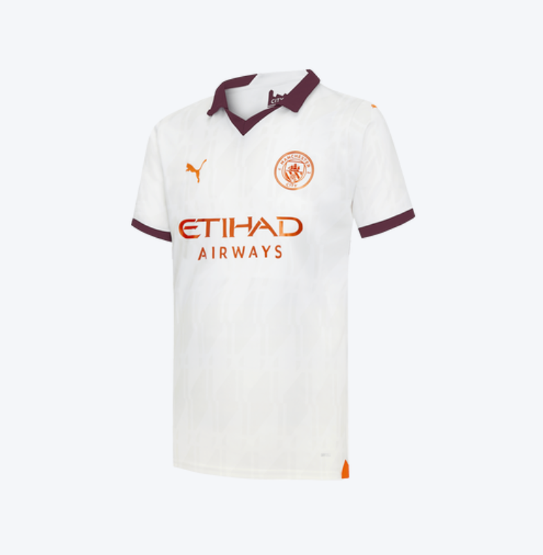 Manchester City 2023 -2024