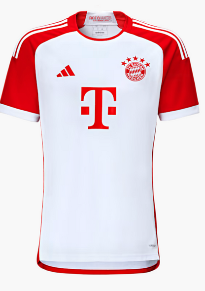 FC Bayern Munich 2023-2024