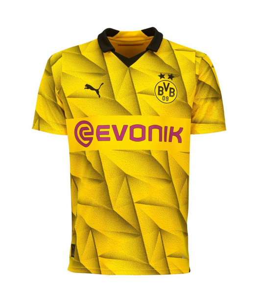 Borrusia Dortmund 2023-2024